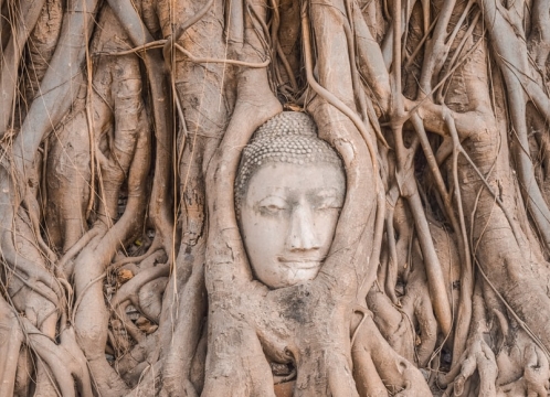 世界遺産アユタヤ_ワットマハタート